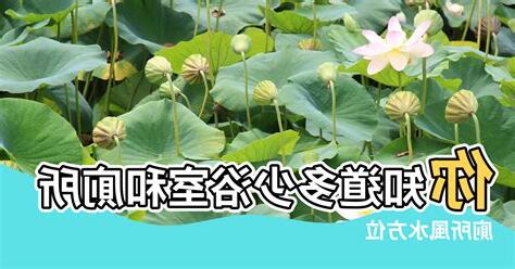 廁所方位 禁忌